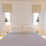 Naxian Utopia Luxury Villas & 3* Stelida (Naxos)